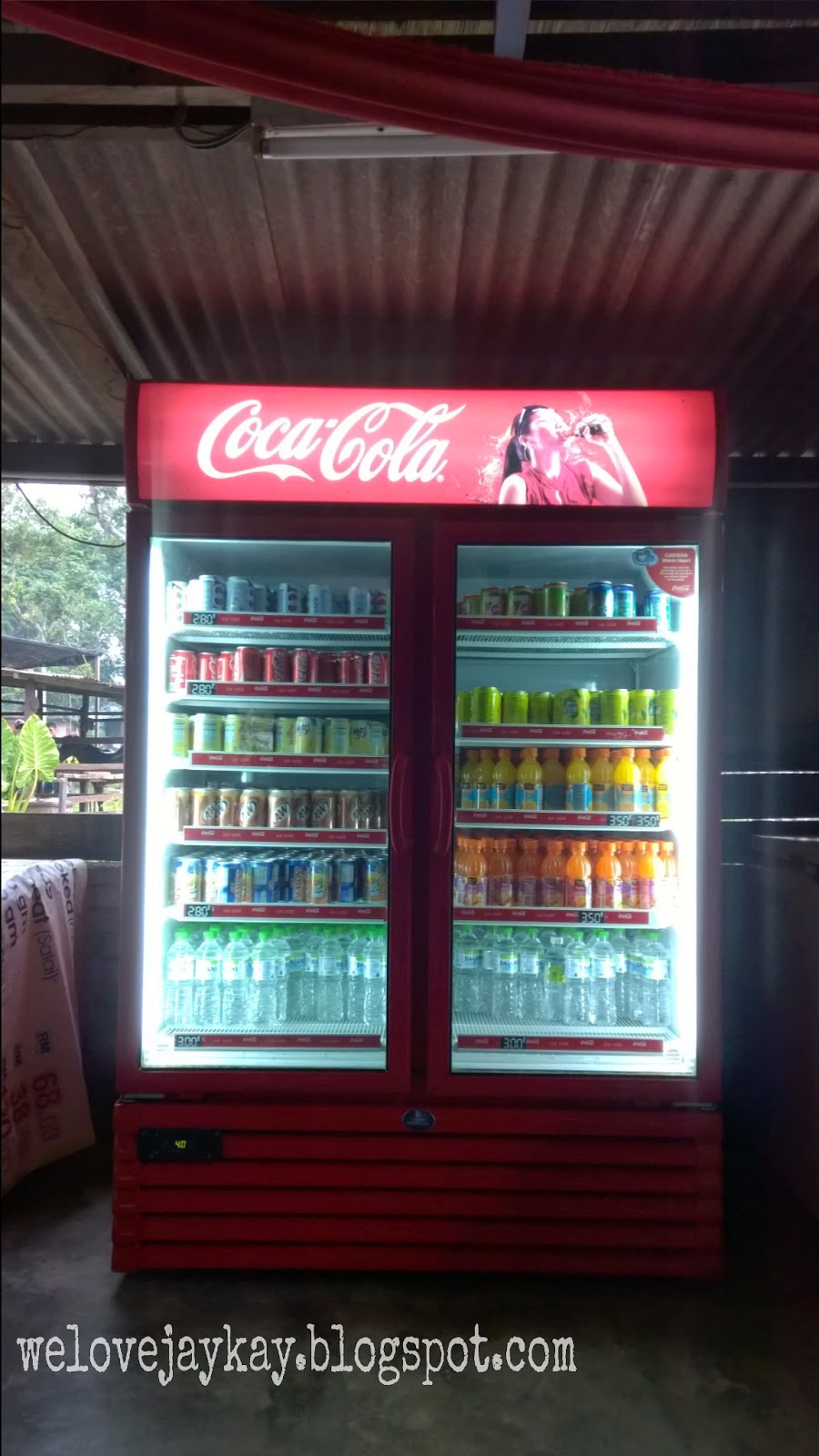 Broga Rabbit Fun Land (Rabbit Farm in Semenyih, Malaysia) 马来西亚兔子乐园